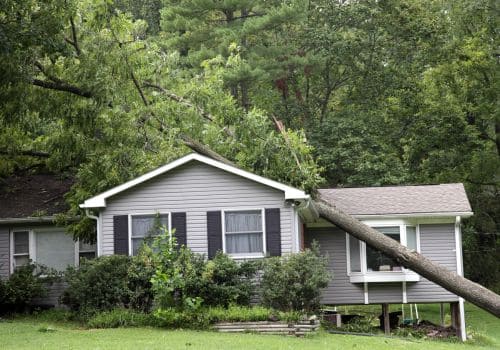 Green Bay Emergency Tree Service