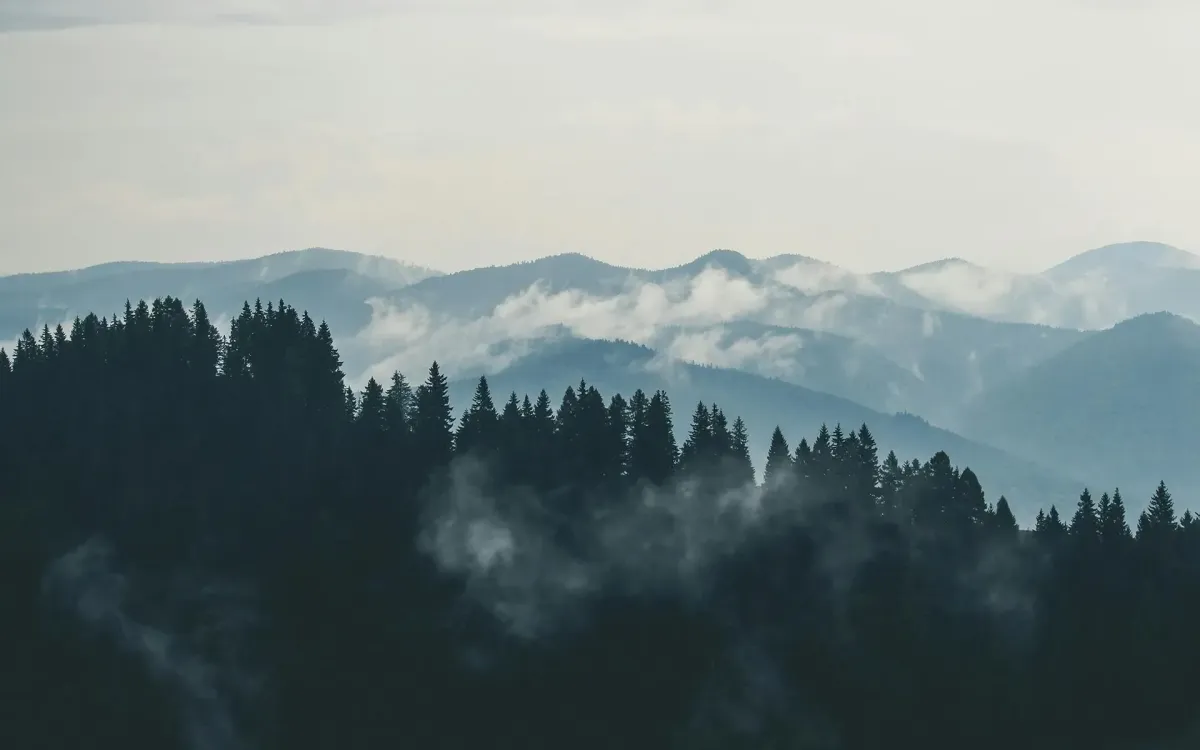 Das Heidiland im Gleichgewicht: Mit Kinesiologie, Komplementärtherapie und Hypnose zu einem gesünderen Leben