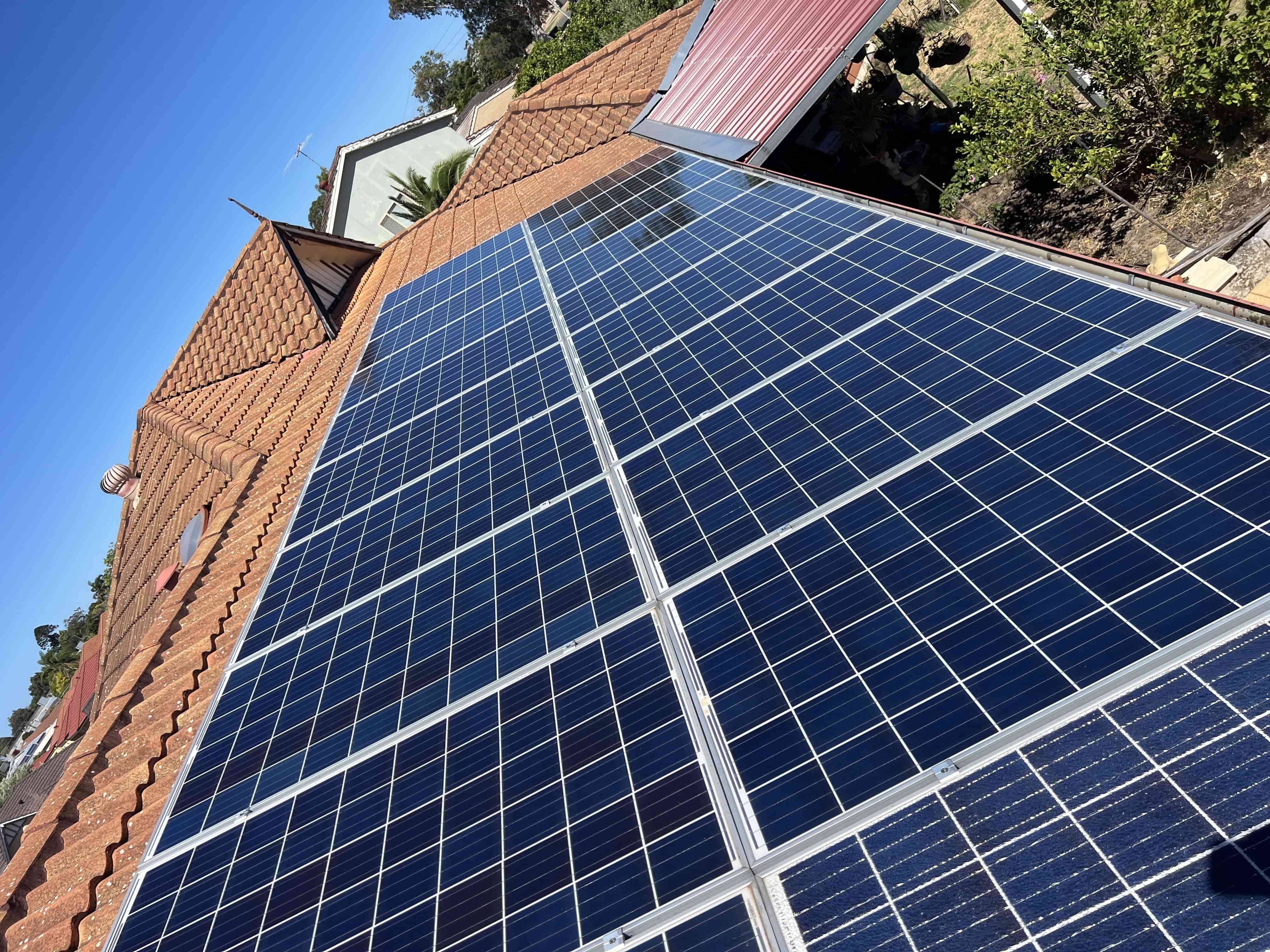 Butler Pigeon proofing