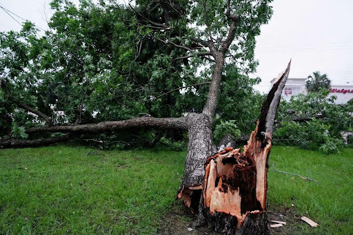 Storm Damage Cleanup in Williamson County TX | Dumpster Guide