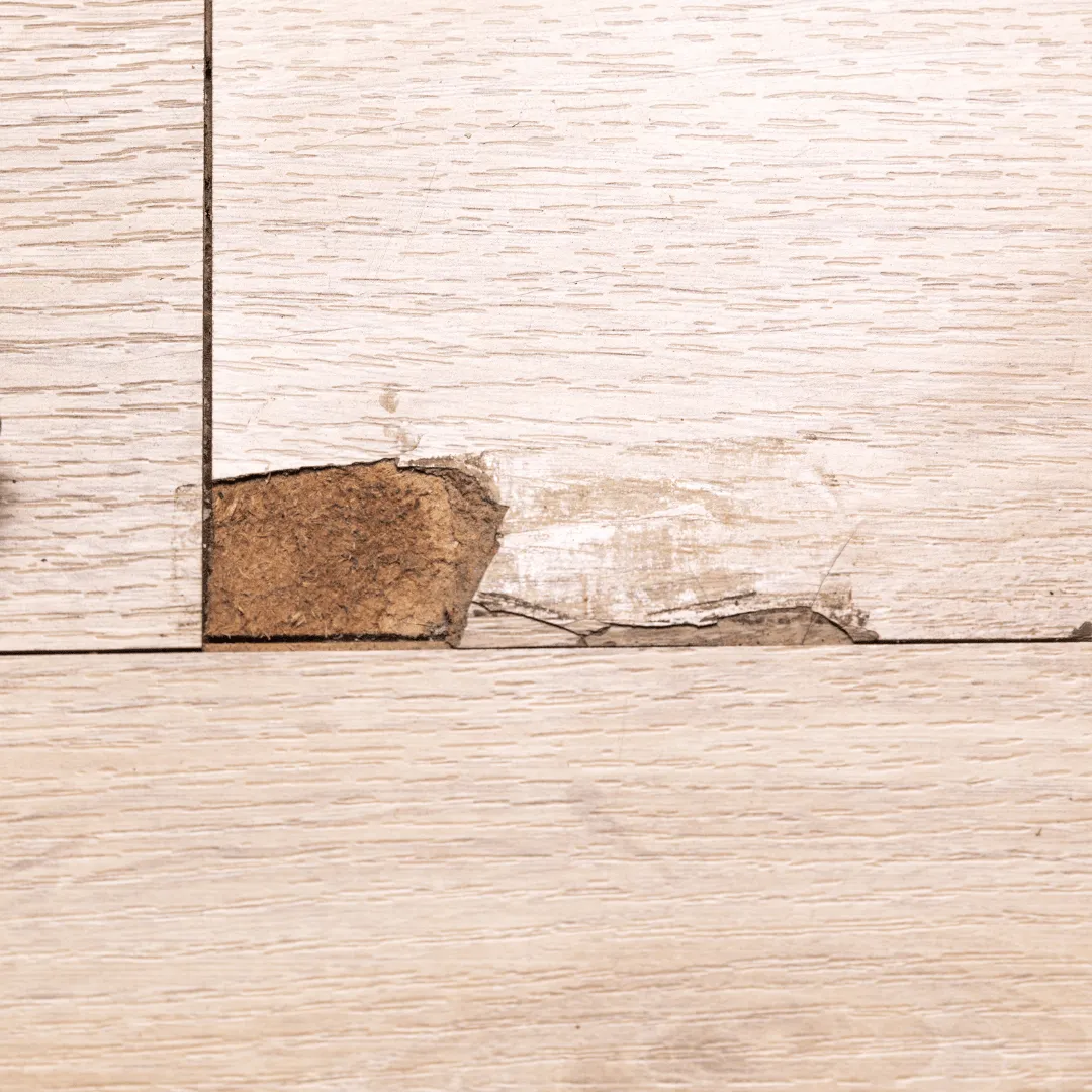 flooring installation Preston MD, flooring repairs Preston MD, LVP flooring Preston MD, vinyl plank flooring Preston MD, engineered hardwood Preston MD, rental property flooring Maryland, flooring contractor Preston MD