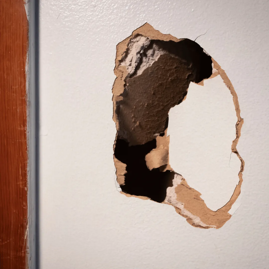 painting contractor Preston MD, interior painting Preston MD, exterior painting Preston MD, house painting Preston MD, trim painting Preston MD, rental property painting Maryland, painting services Eastern Shore