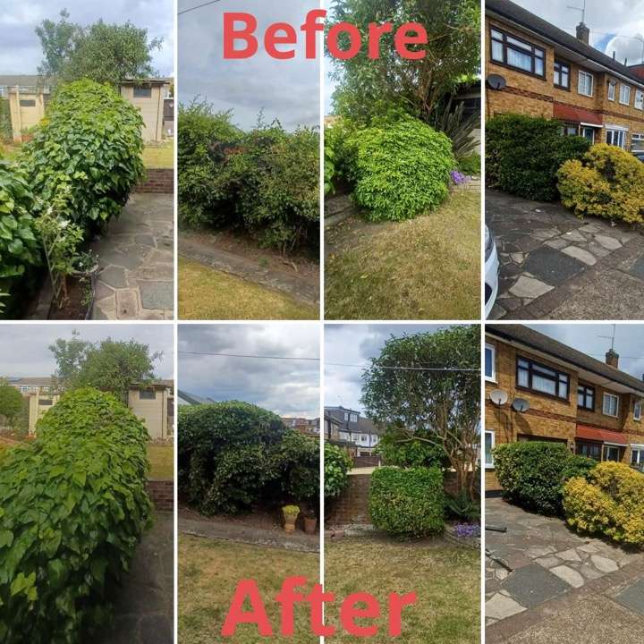 Before and after hedge trimming — front garden hedges shaped across multiple properties in Havering