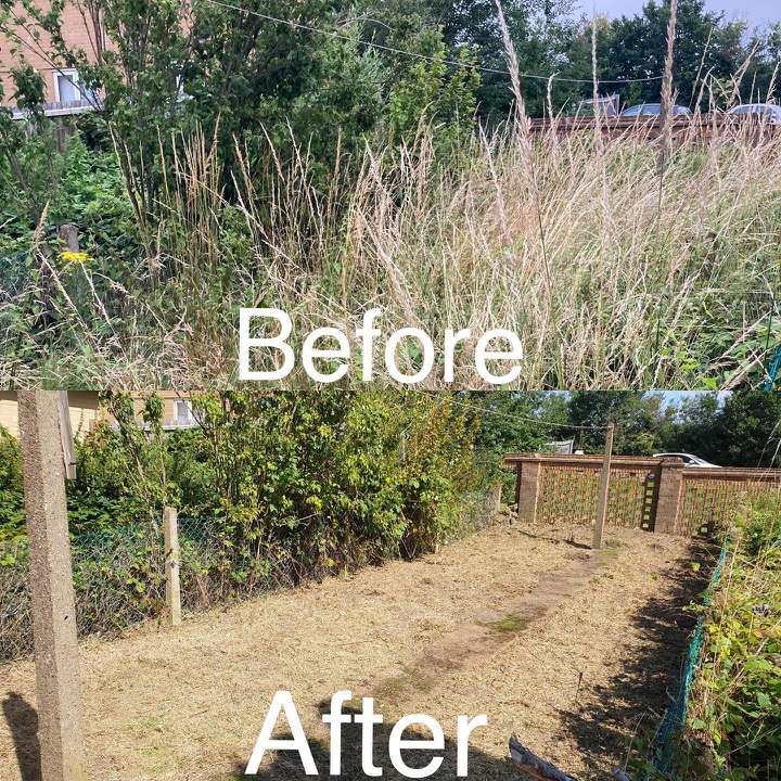 Before and after long garden clearance — overgrown plot cleared with new trellis fencing in Romford
