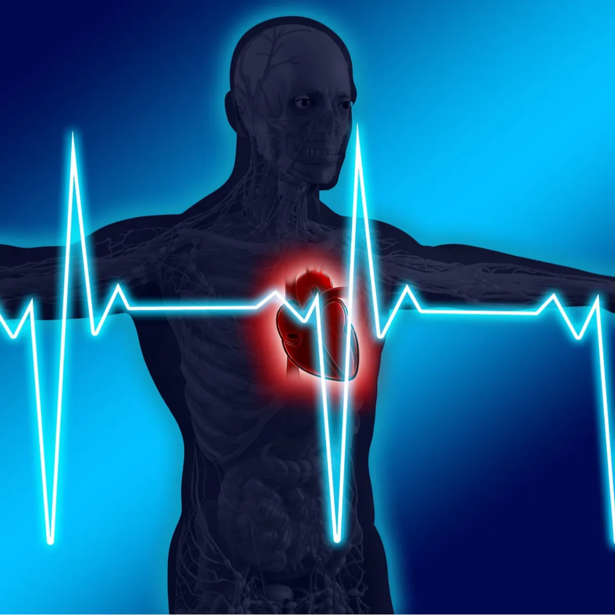 Heart Sound Recorder (HSR)