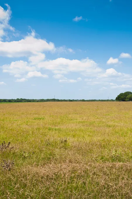 Texas Land Buyers