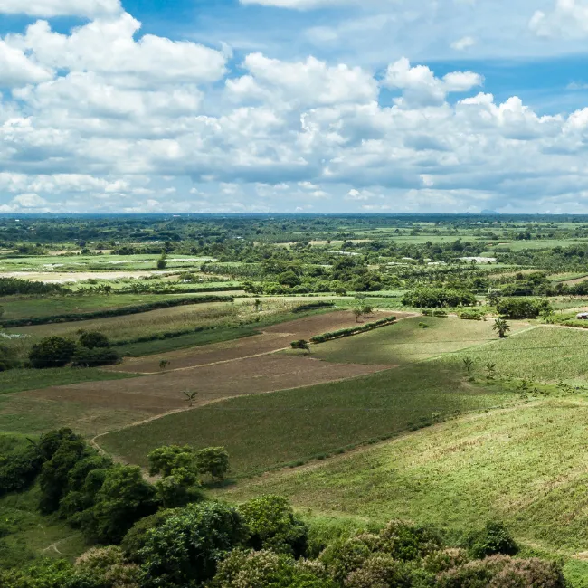 texas land buyers, buying undeveloped land