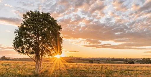 Sell land fast in Texas without a realtor