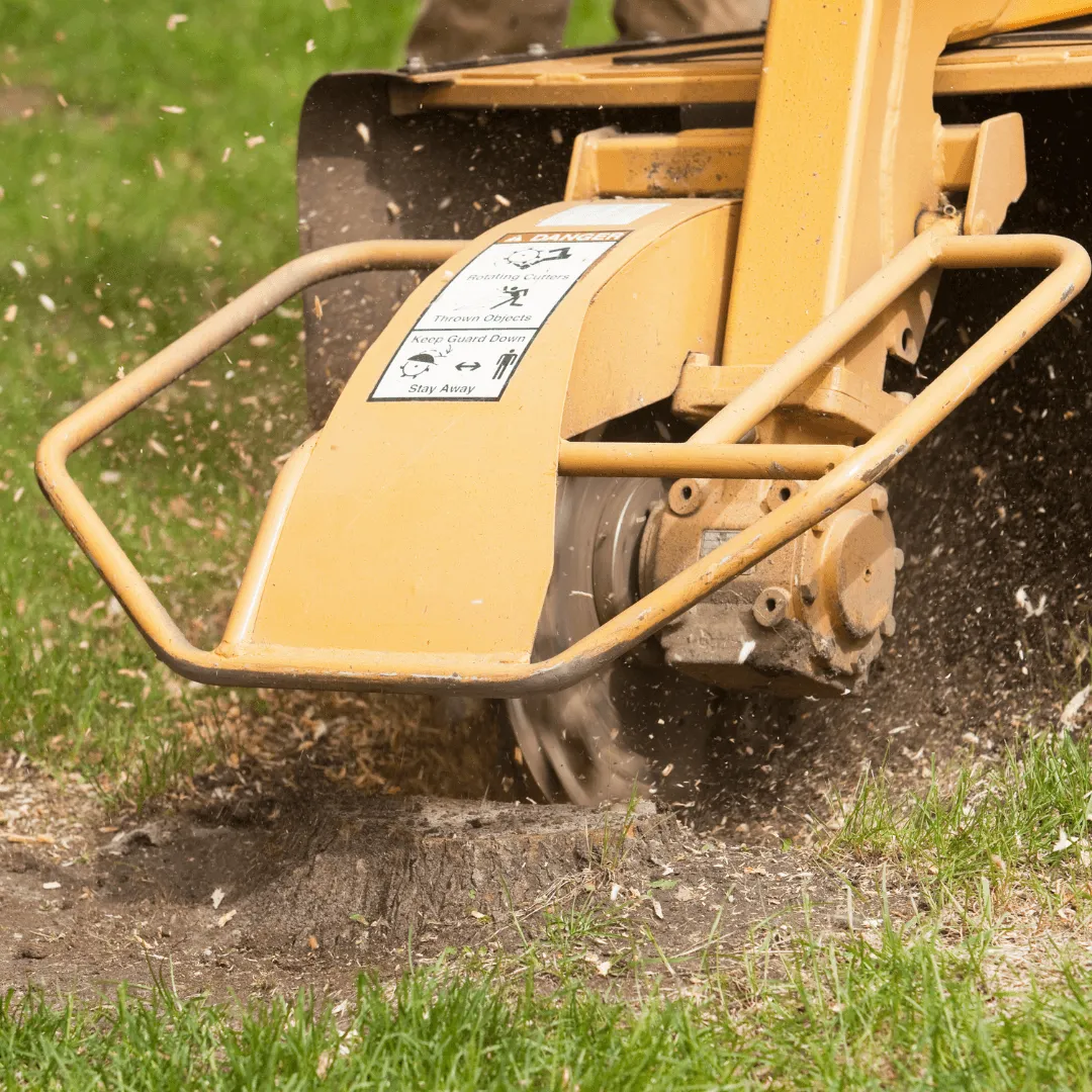 Stump Grinding