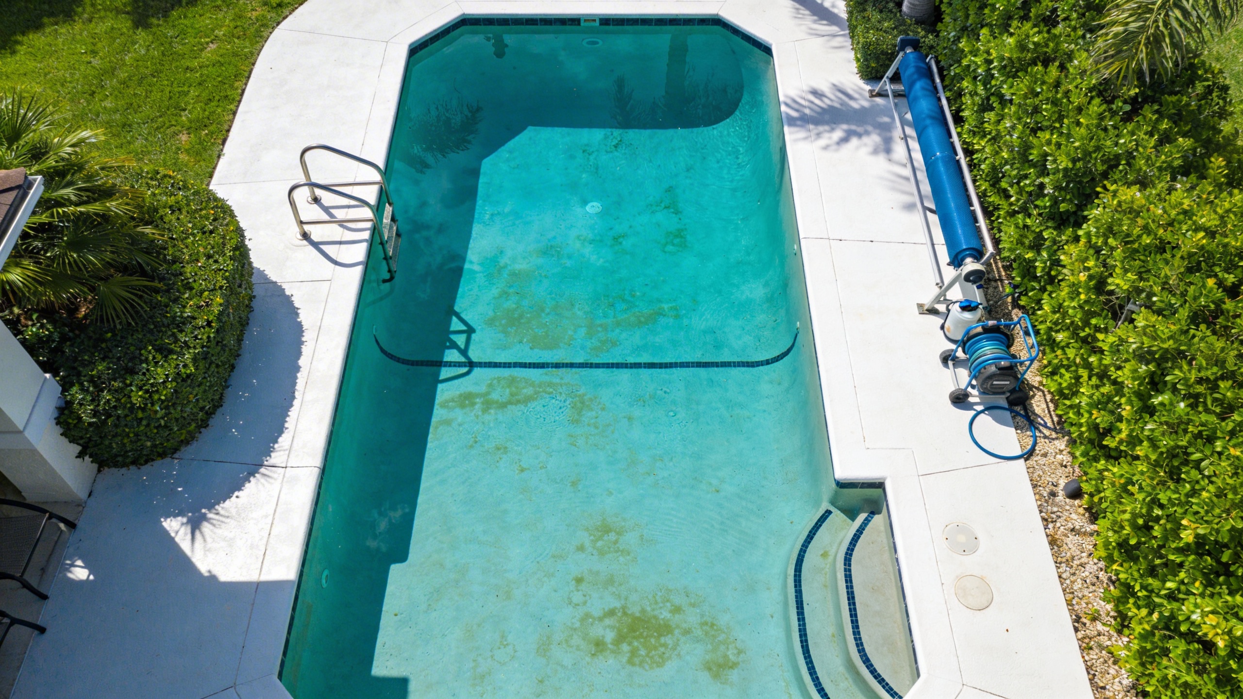 How to Prevent Algae Growth in Your Pool