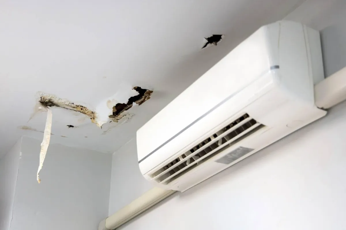 carpet damage restoration Round Rock