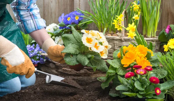 Plant Clinic with Master Gardeners: A Helpful Spring Event in Crofton