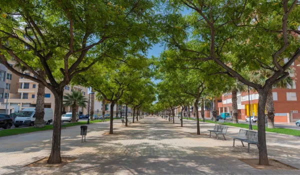 Why Summer Is One of the Most Active Seasons for Maryland Real Estate