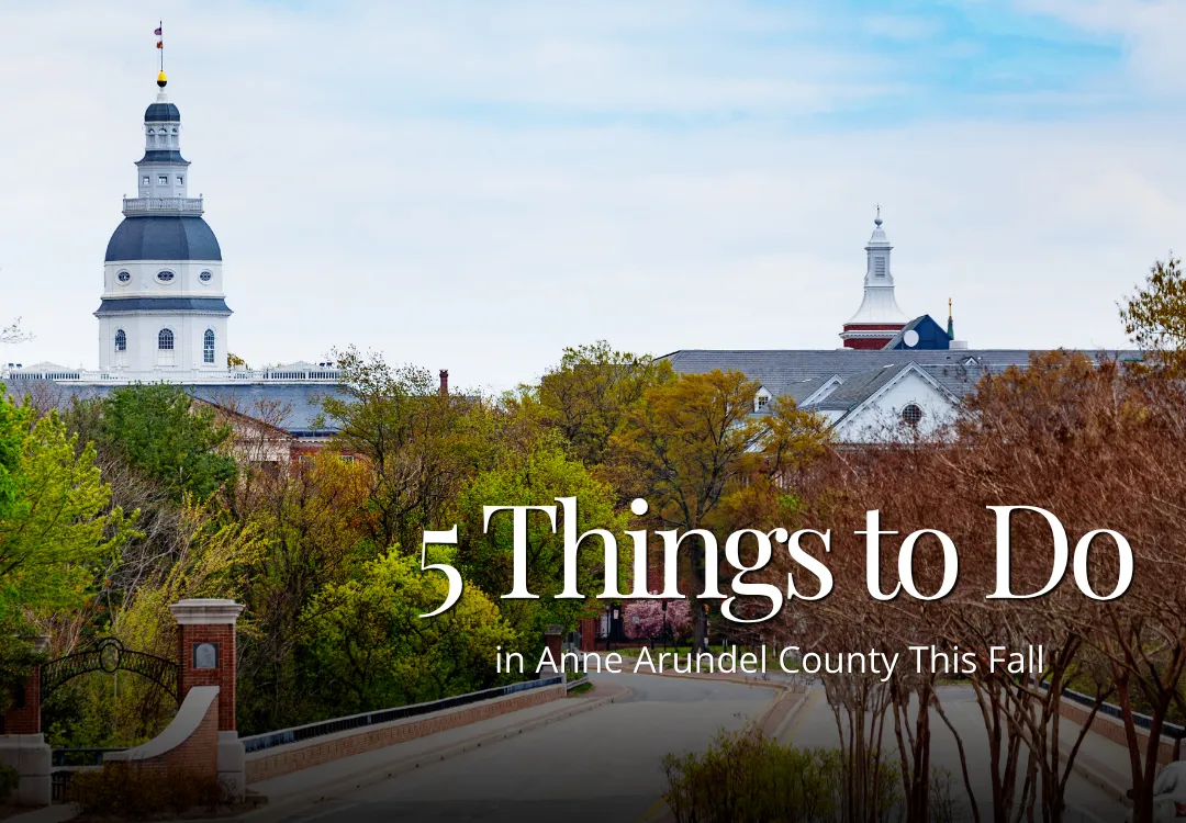 Fall activities in Anne Arundel County, Maryland, featuring pumpkin patches, local festivals, corn mazes, and autumn scenery.