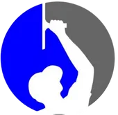 Professional Window Cleaning SD Logo