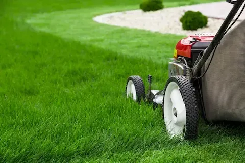 Push mower cutting tall grass | Brooklyn Park Lawn & Snow lawn mowing service