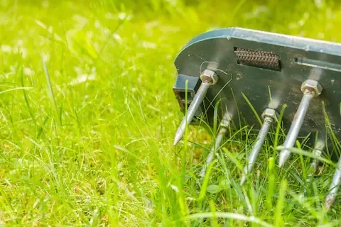 Core aeration tines in tall grass | Brooklyn Park Lawn & Snow lawn aeration service