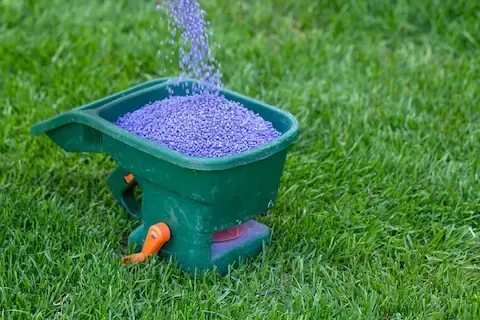 Granular lawn fertilizer in handheld spreader | Brooklyn Park Lawn & Snow lawn fertilization