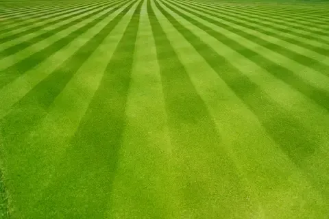 Perfectly striped green lawn | Brooklyn Park Lawn & Snow lawn maintenance