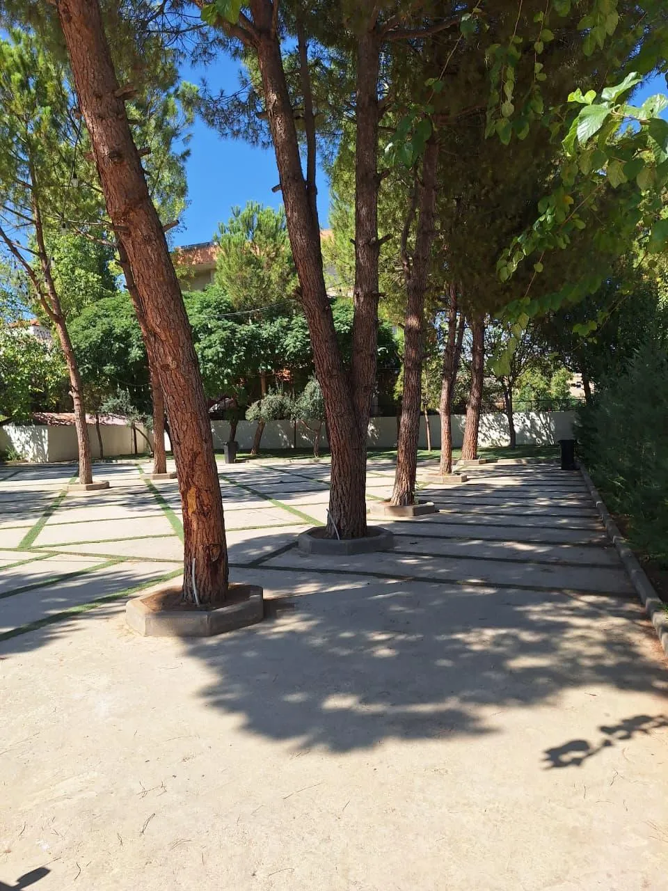 Computer & Technology Labs