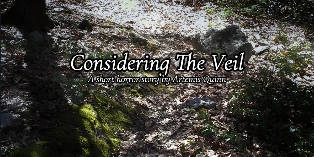 Considering The Veil