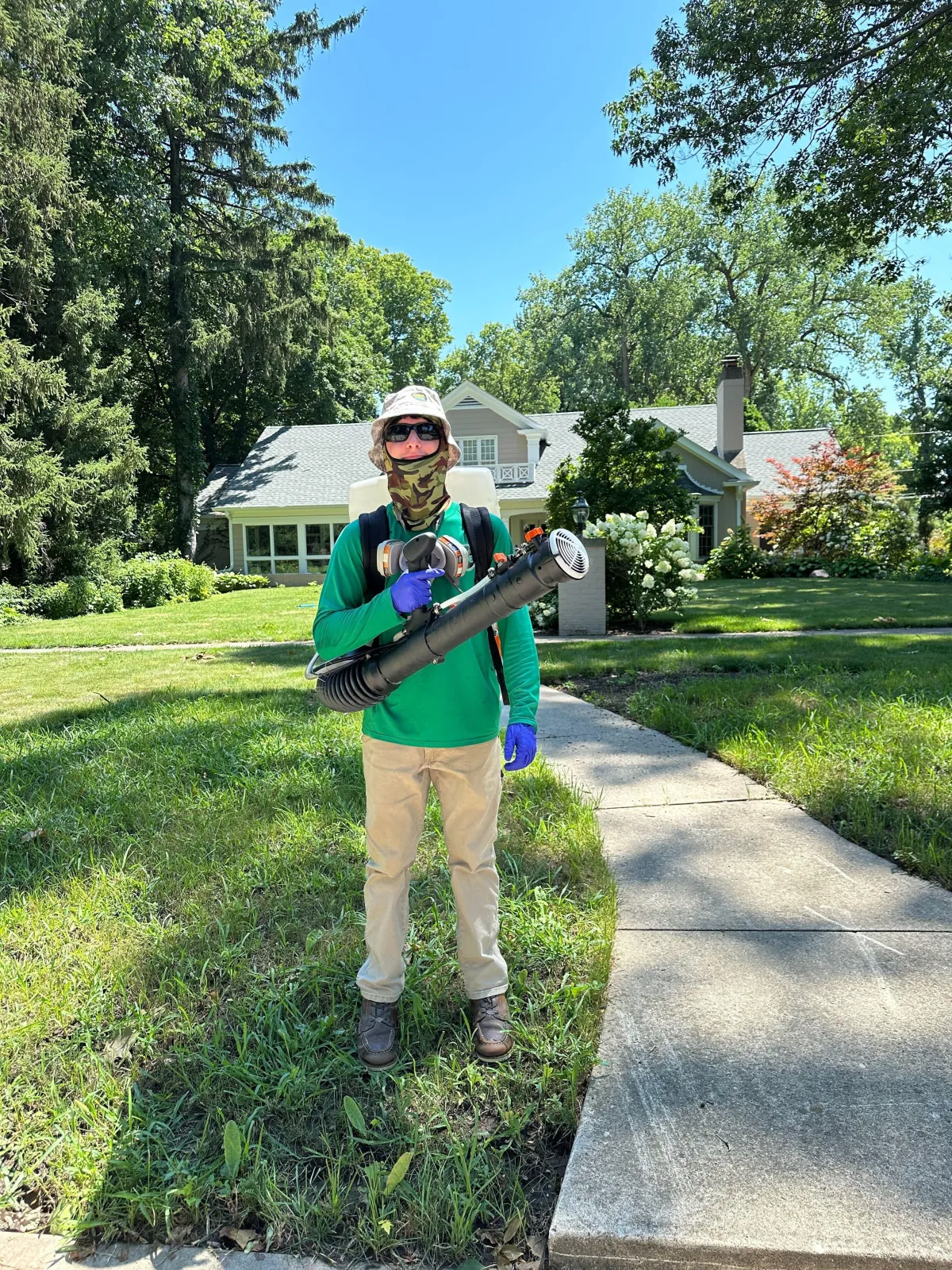 brown winged insect photograph