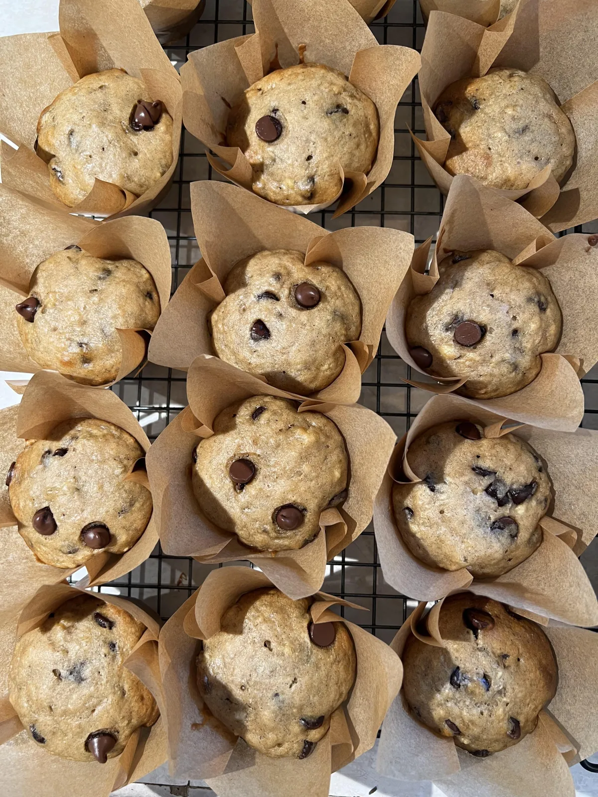 Chocolate chip cookie