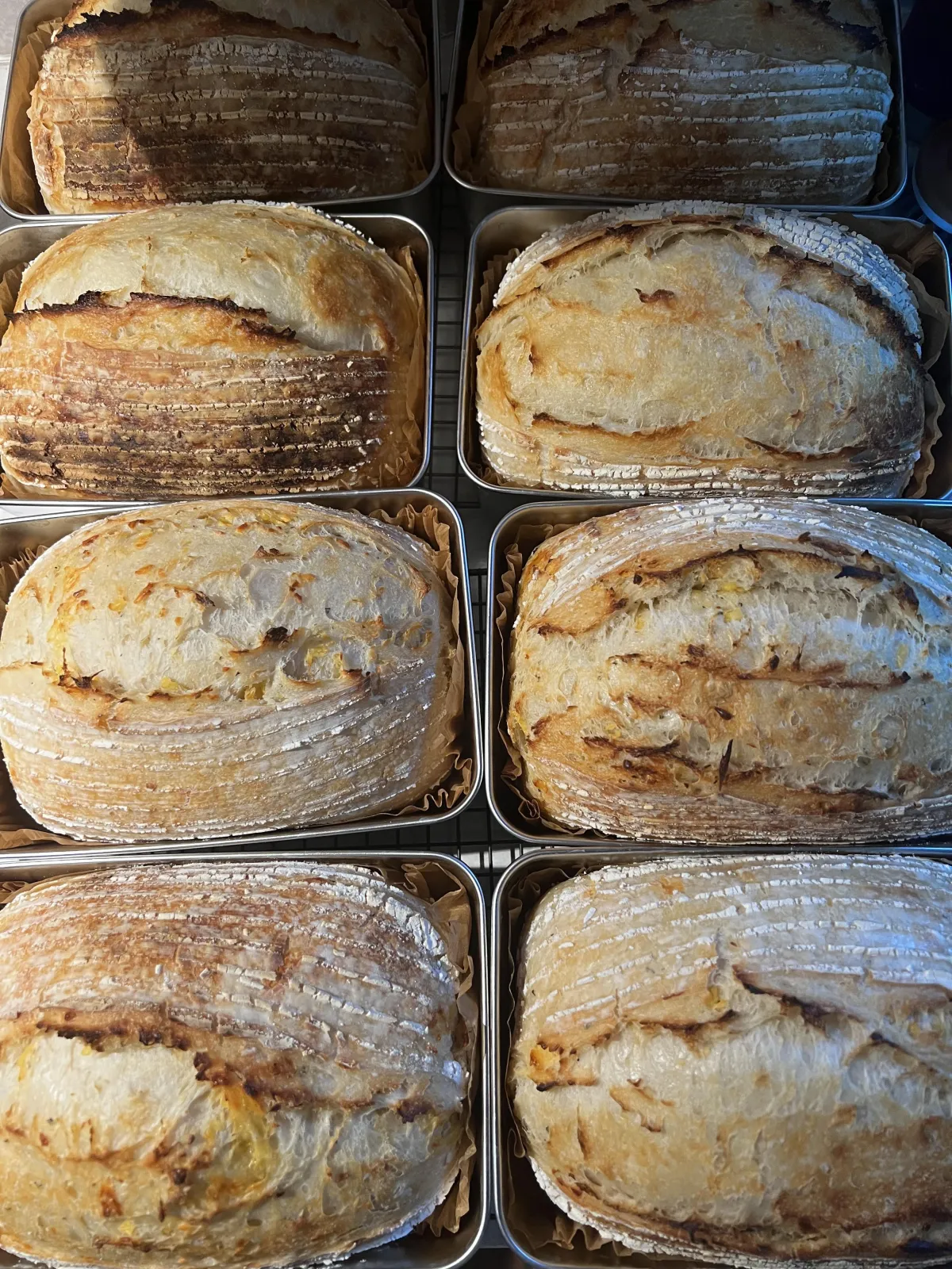 a close up of a bunch of doughnuts