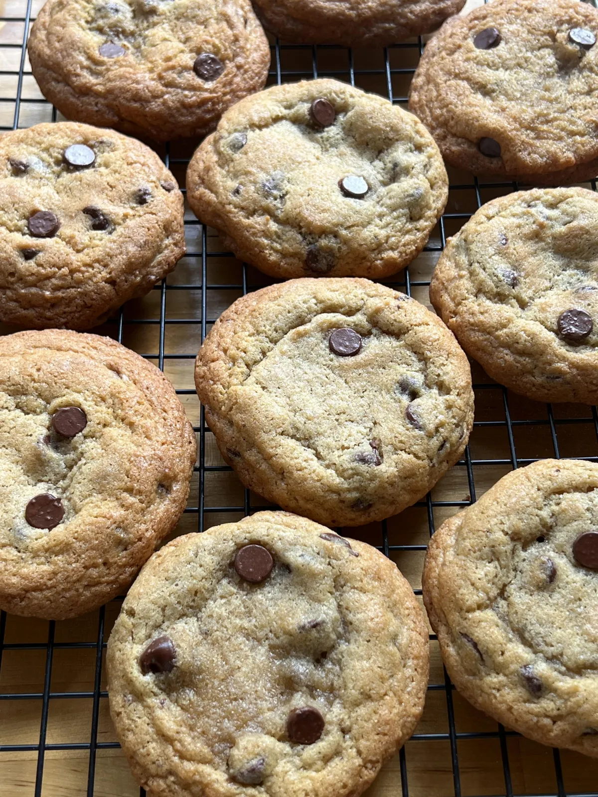 Chocolate chip cookie