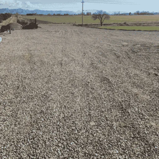 Site Preparation Grand Junction