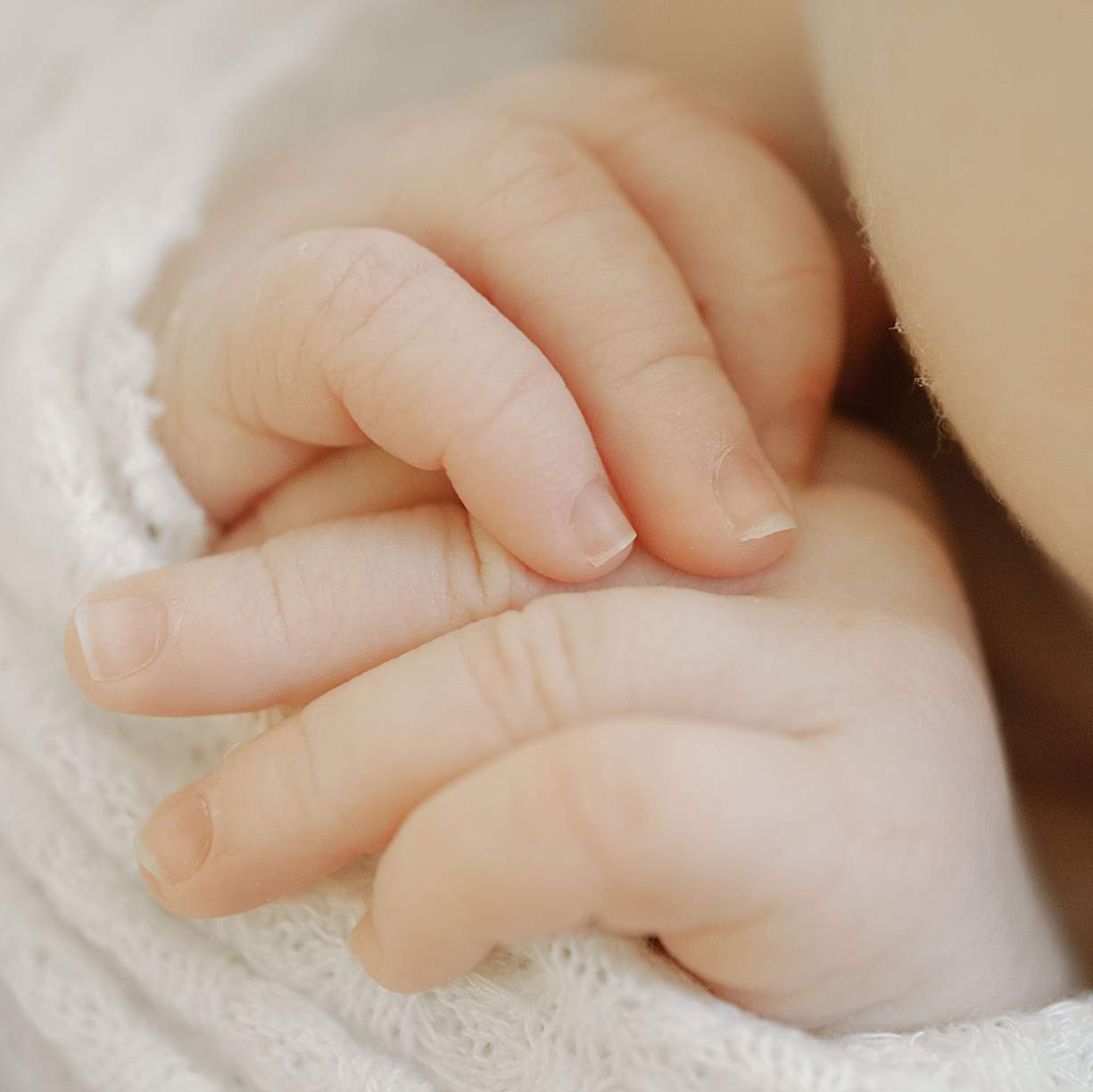 East Tennessee newborn photographer posing baby details of hands