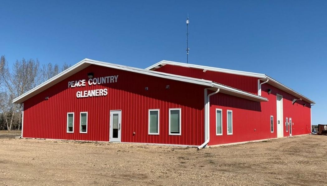 Volunteers sorting produce in a bright processing room