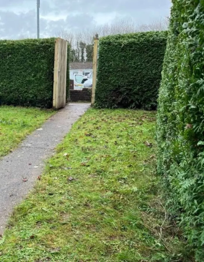 Hedge trimming photo