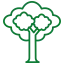 Crown reduction icon
