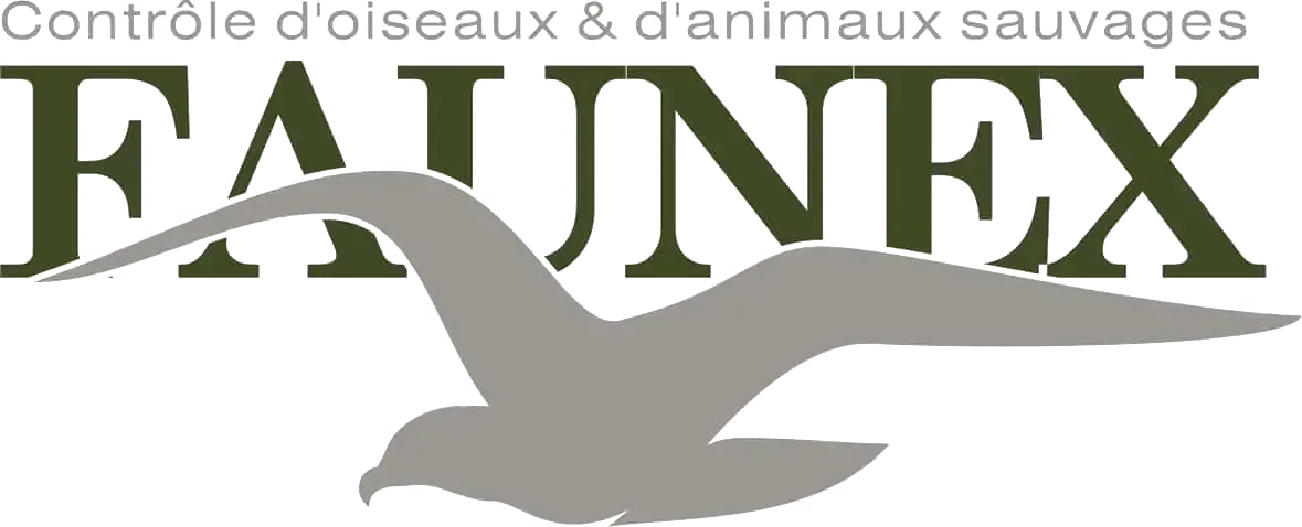 Insect Pest Control in MONTREAL