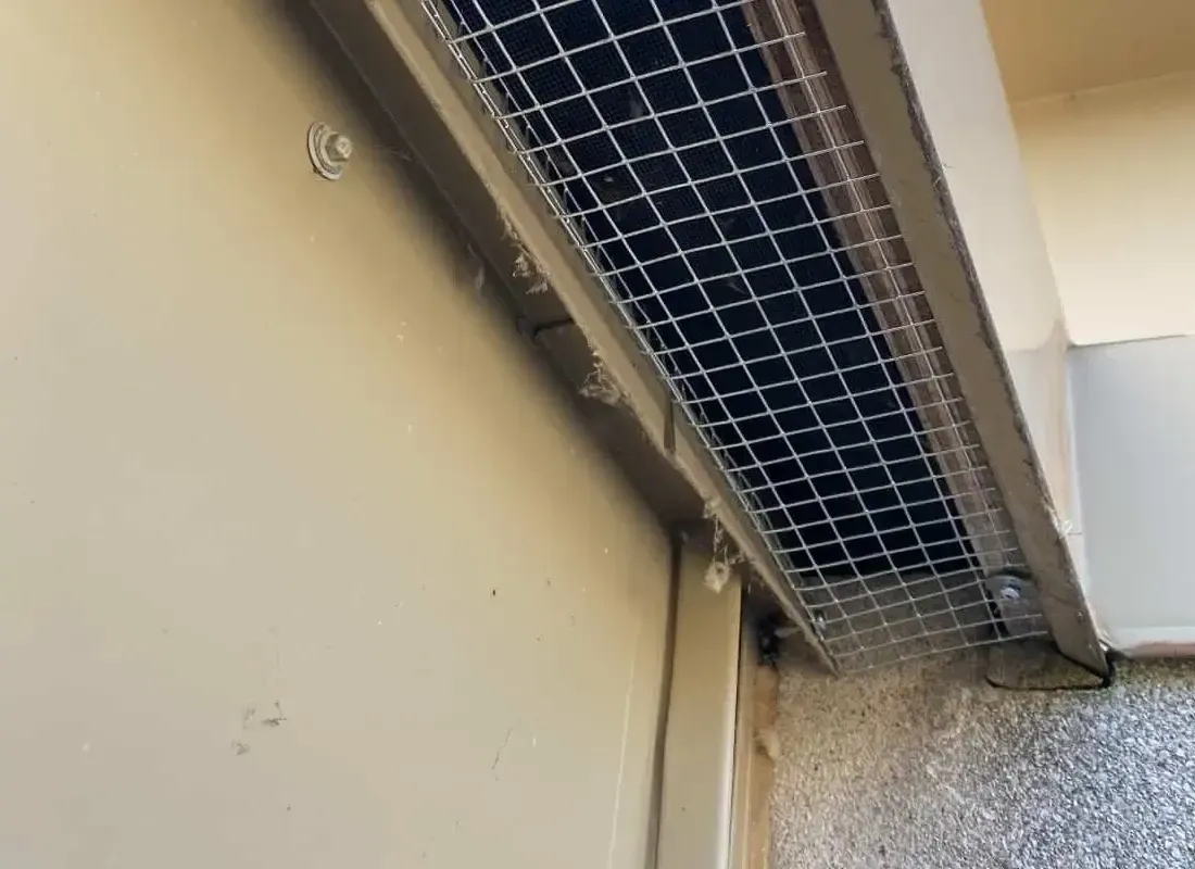 Bird Control MONTREAL