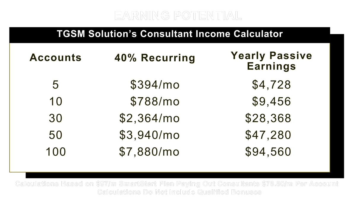 TGSM Solutions Sales Consultant Earning Potential