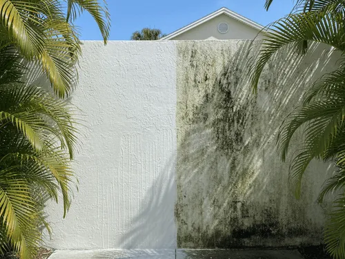 Residential Cleaning Margate, FL