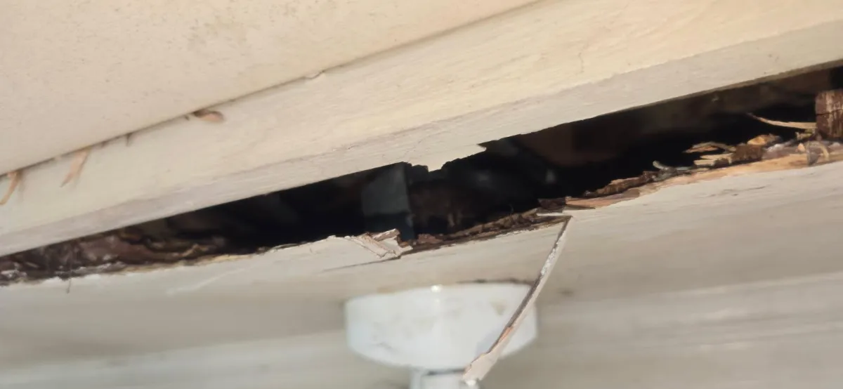 DRYWALL REPAIR LEXINGTON