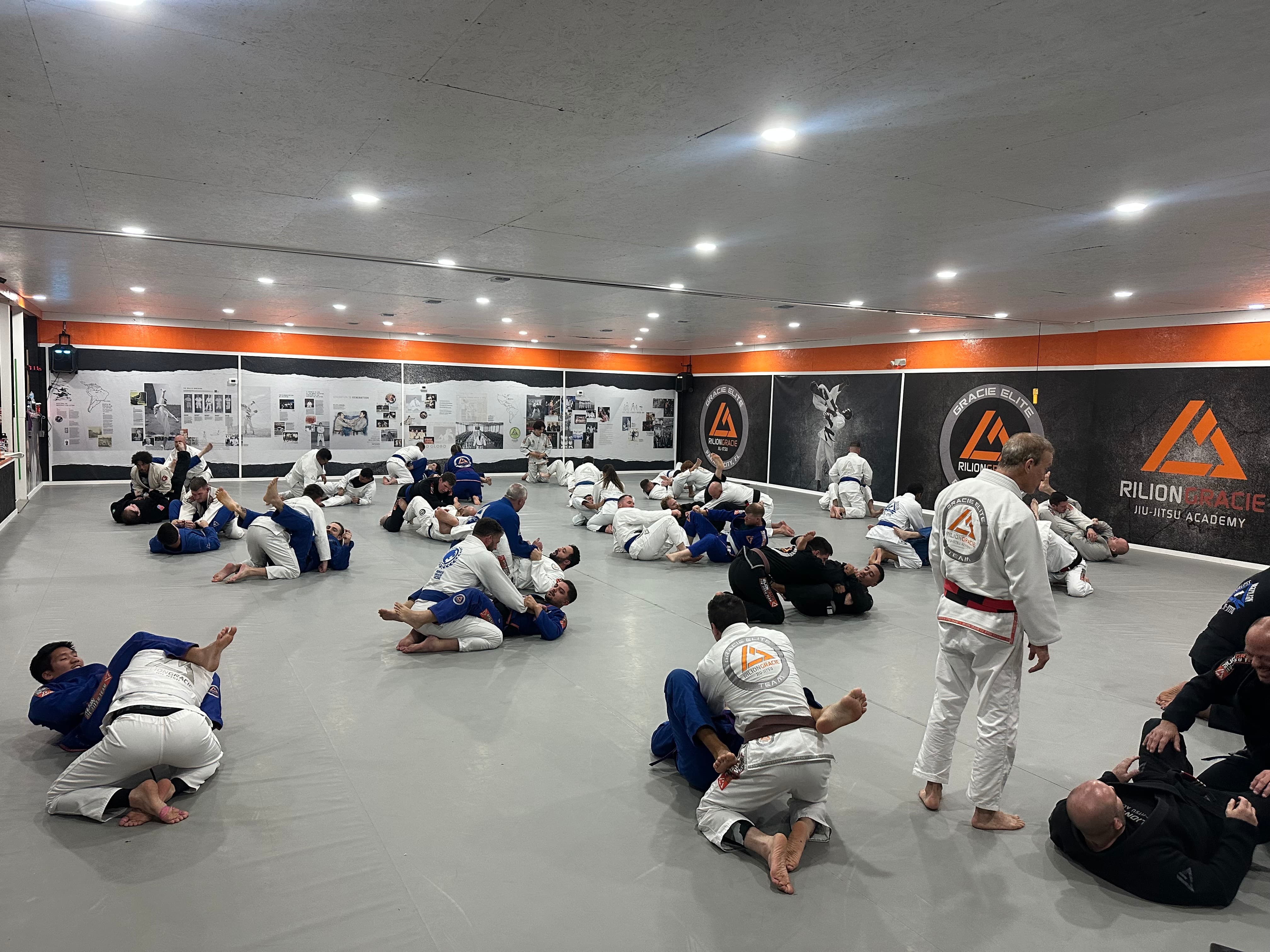 adult jiu jitsu