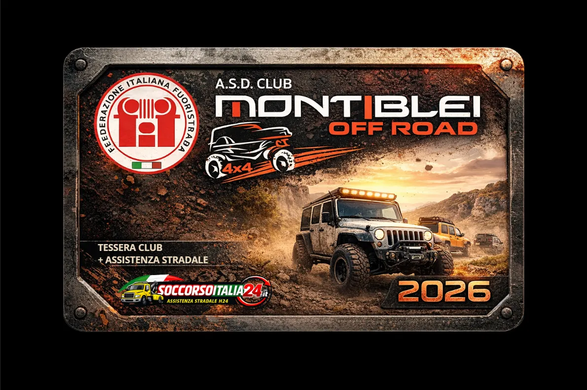 brown path between grass fields