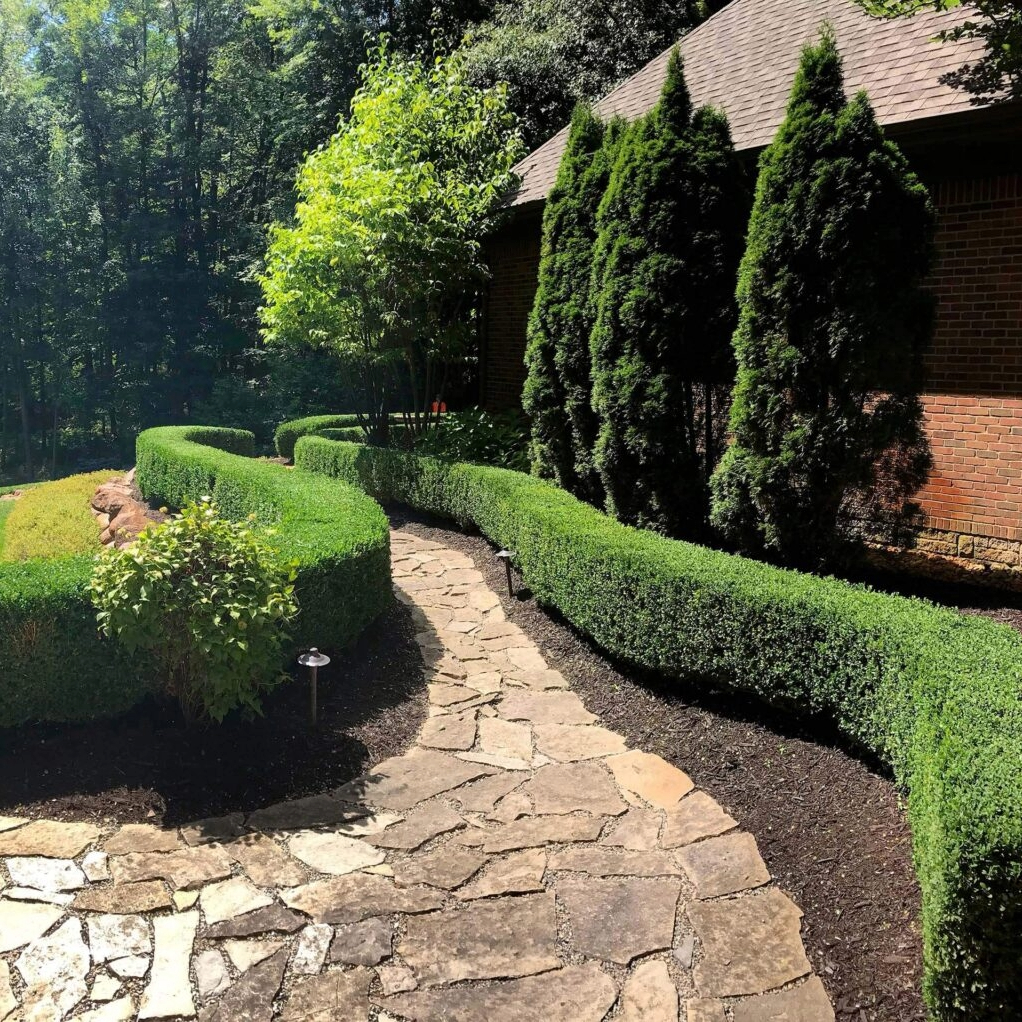 Landscape Contractor in Ventura County