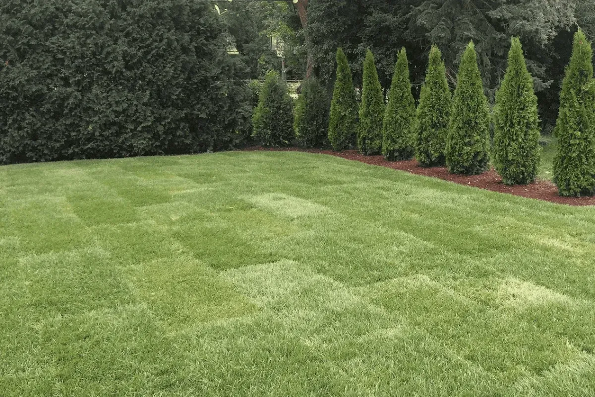 Concrete Contractor in Ventura County