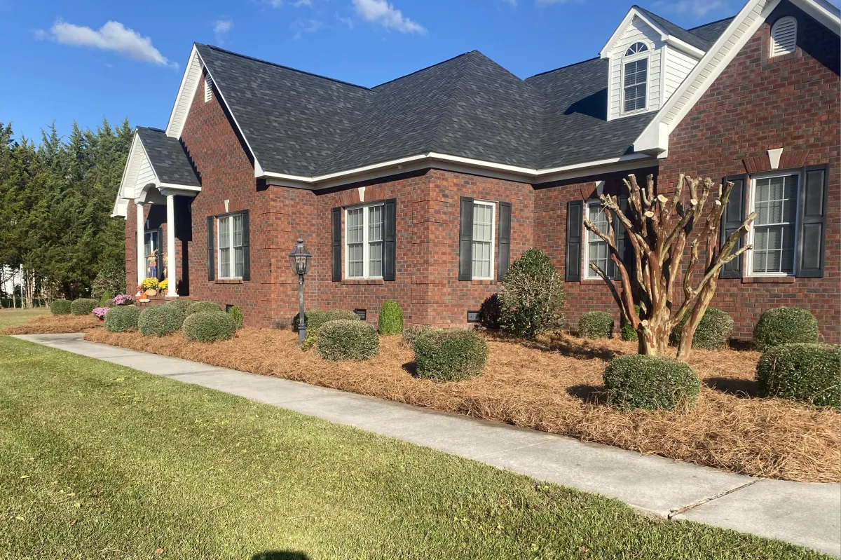 Landscape Contractor in Ventura County