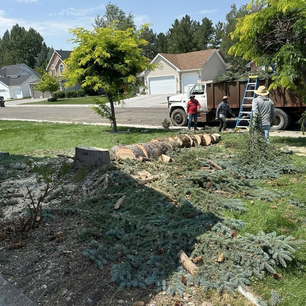 Concrete Contractor in Ventura County