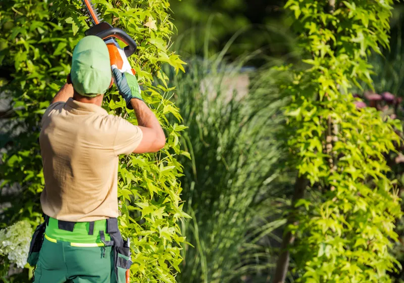 Lawn Fertilization