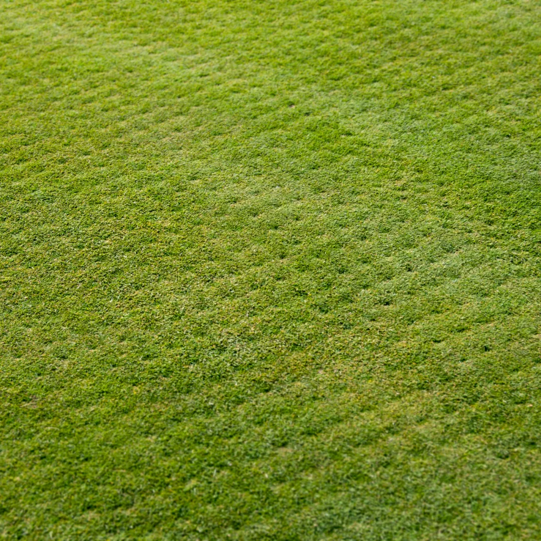 lawn care marion nc, lawn mowing marion nc, grass cutting marion nc, lawn maintenance marion nc, yard cleanup marion nc, seasonal cleanup marion nc, landscaping marion nc