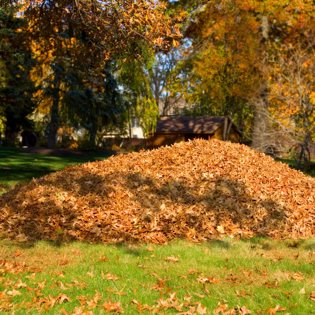 lawn care marion nc, lawn mowing marion nc, grass cutting marion nc, lawn maintenance marion nc, yard cleanup marion nc, seasonal cleanup marion nc, landscaping marion nc,