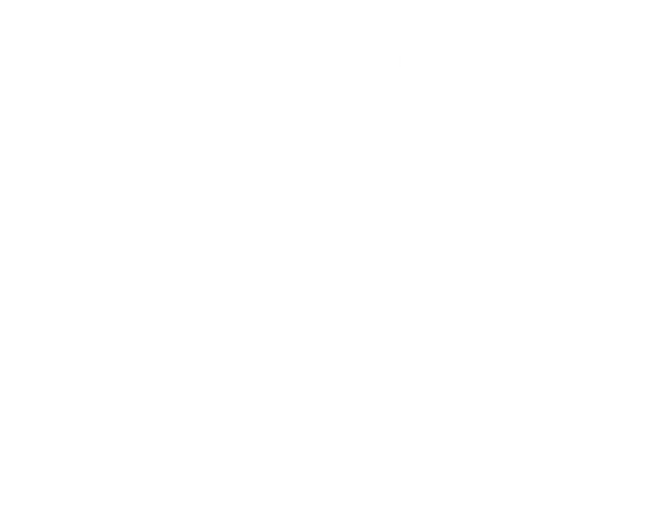 Stonehan Logo