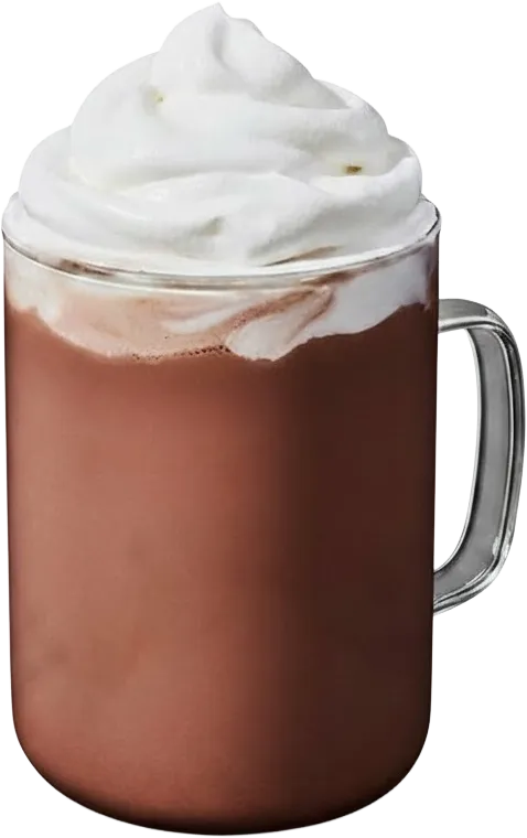 a close up of a small shell on the sand